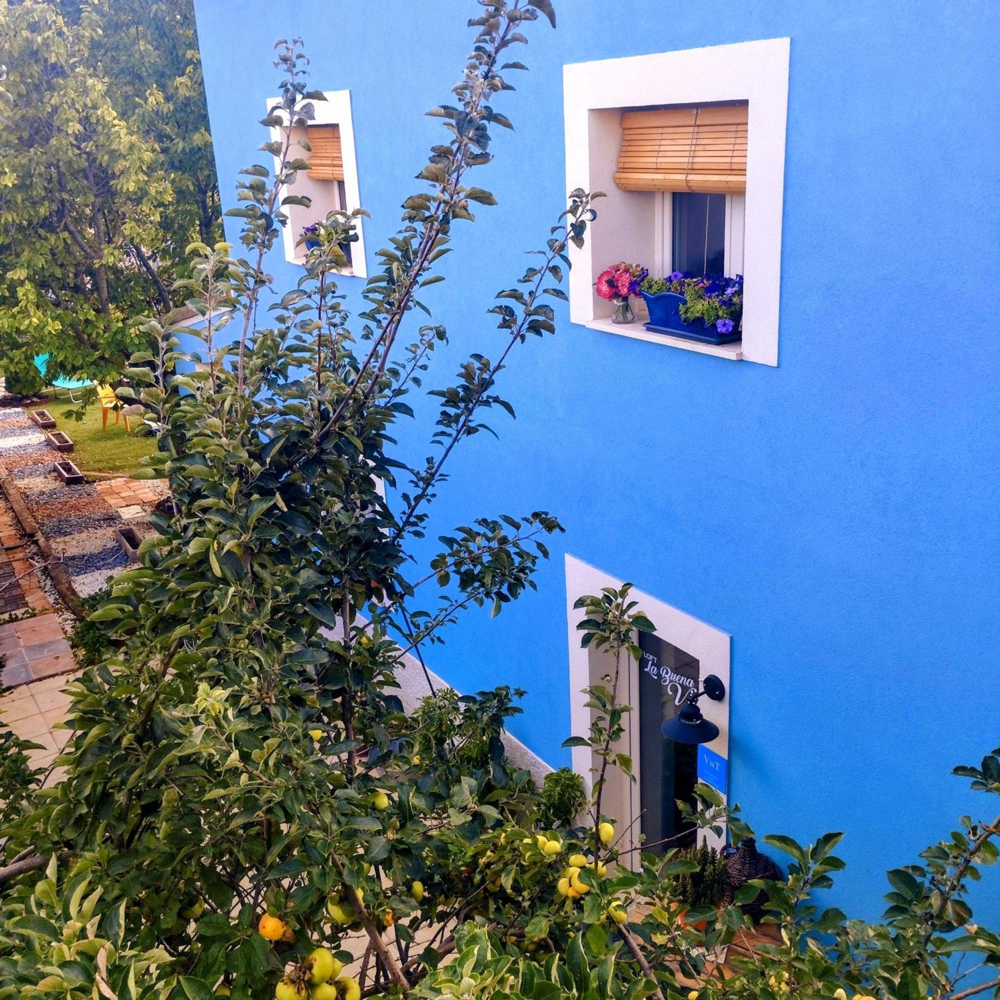 Appartement Loft La Buena Vida à Penaranda de Duero Extérieur photo